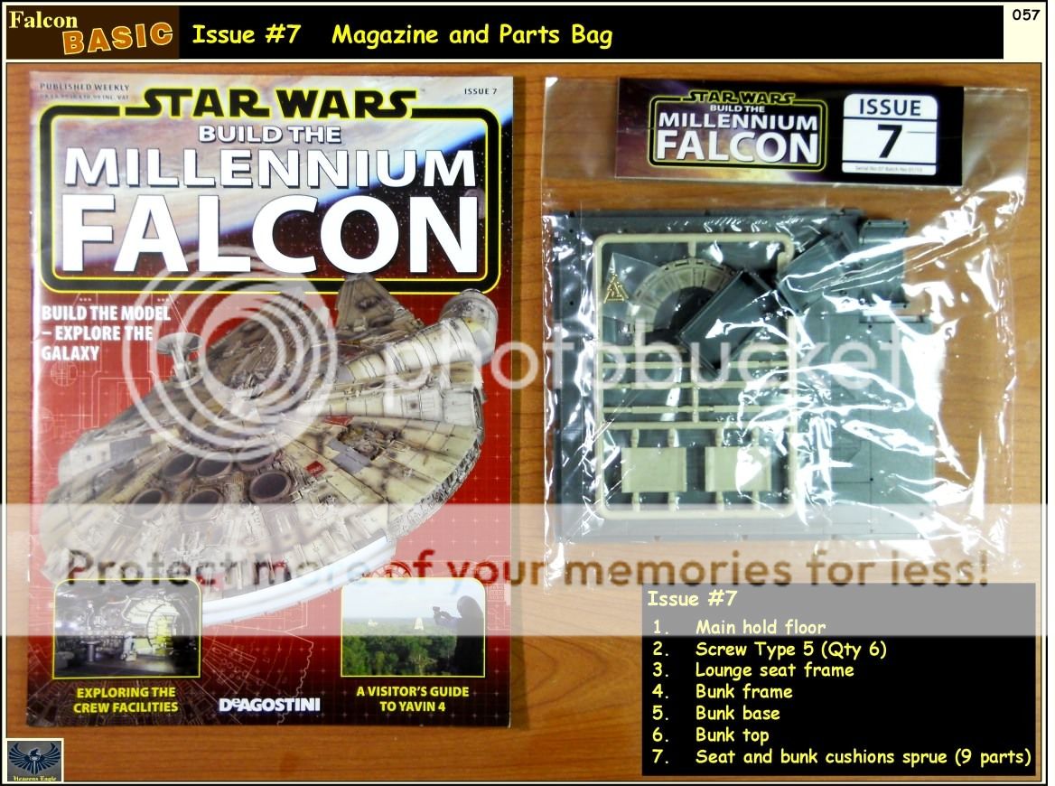 Falcon-Basic-057.jpg~original
