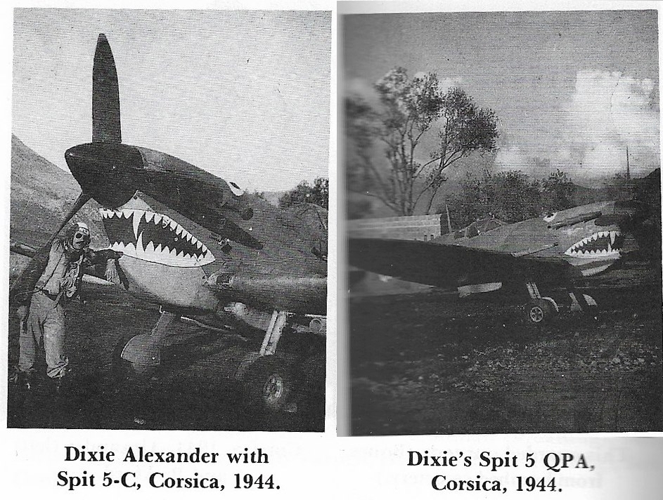 Spitfire_Mk_Vc_USAAF_Chappie.jpg