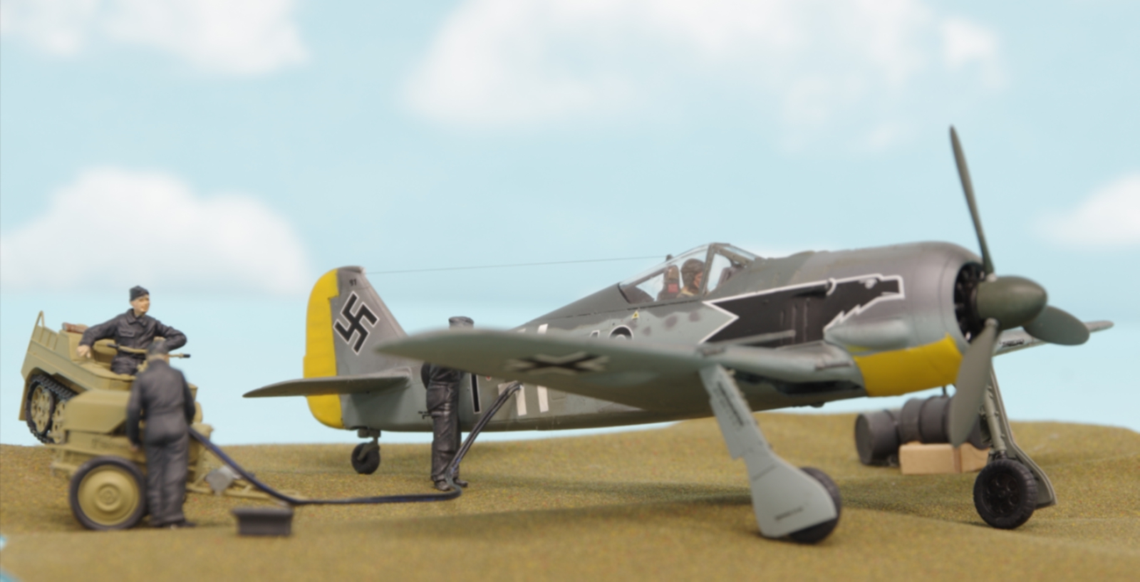 0185fw190.jpg