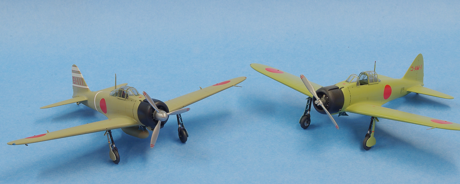 0193a6m.jpg
