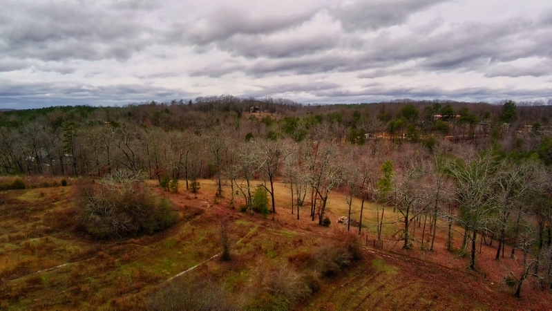 1000008697.jpg 1000008697.jpg