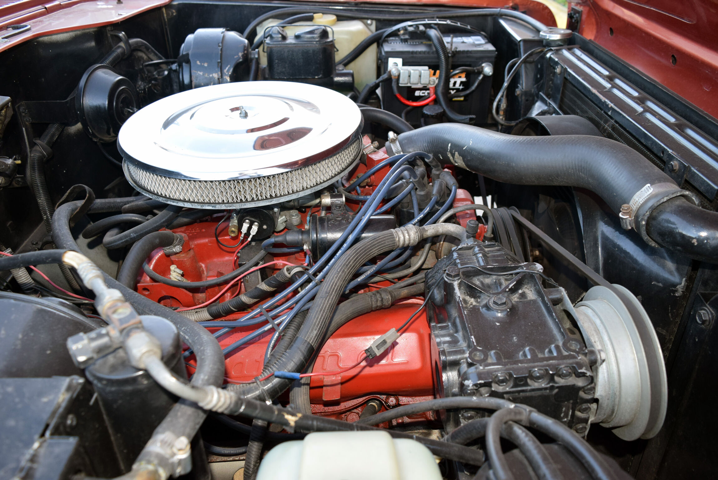 1000010504.jpg 1000010504.jpg