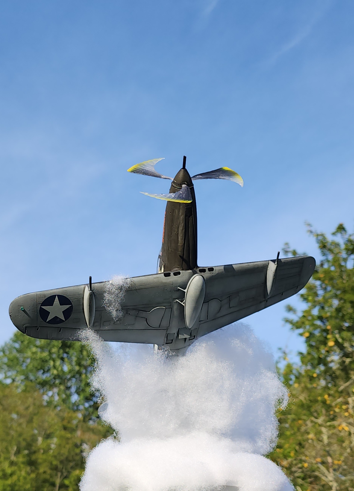 1000019794.jpg