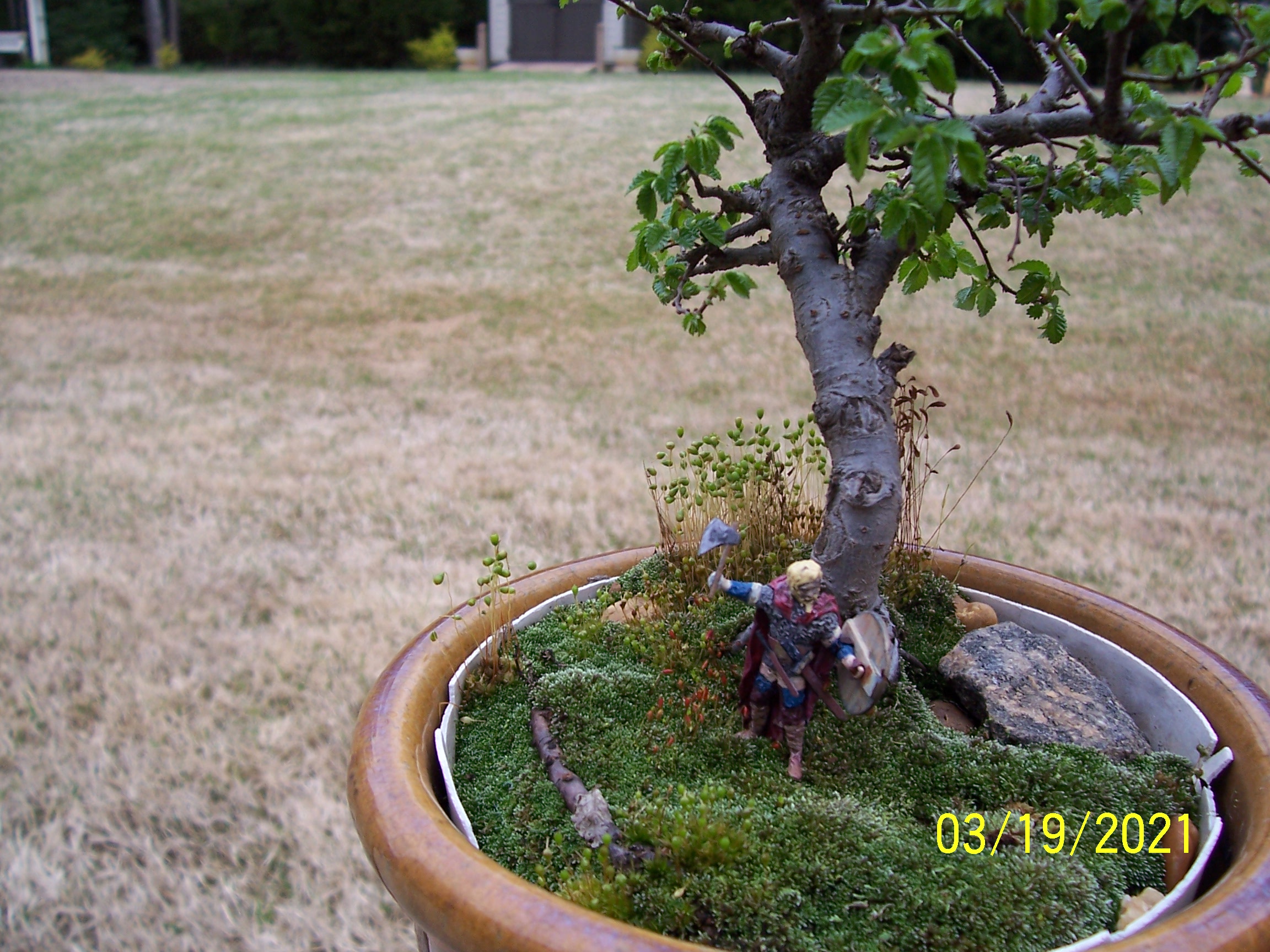 100_6637.JPG