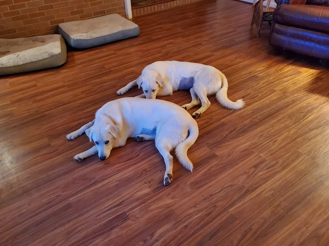 1627830423132.png 1627830423132.png