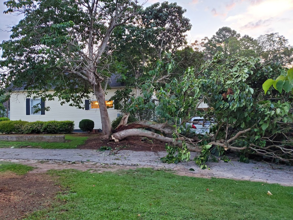 1627832402710.png 1627832402710.png