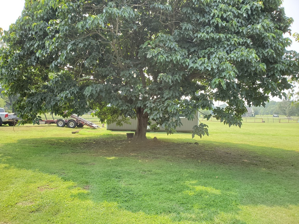 1627832605423.png 1627832605423.png