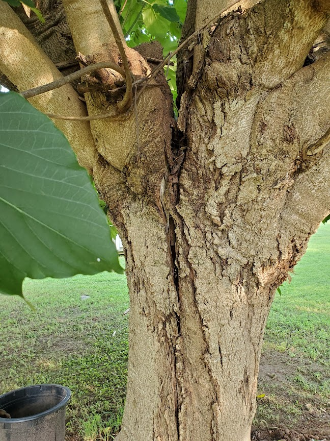 1627832663831.png 1627832663831.png