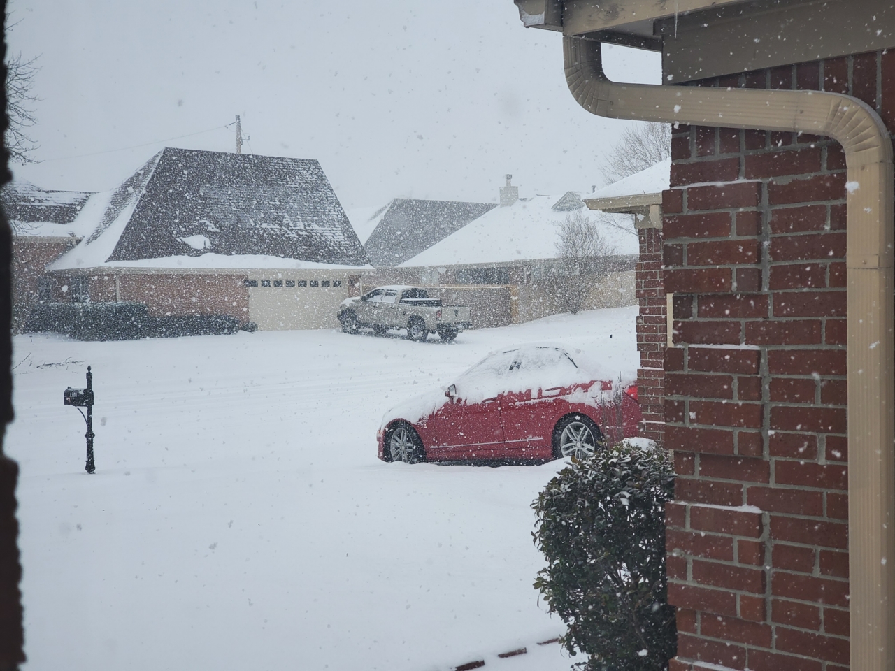 2-15-21 snow day.jpg