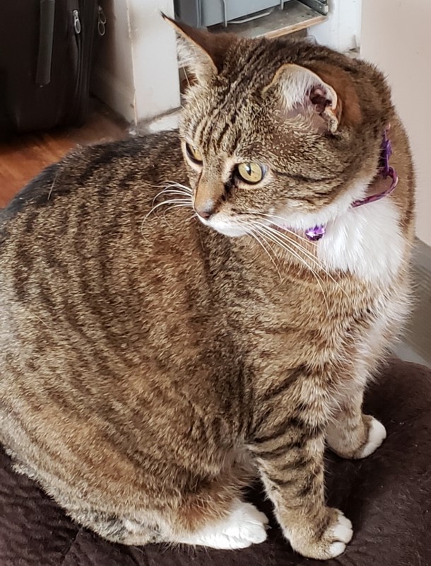 20180414_101643 (800x610).jpg