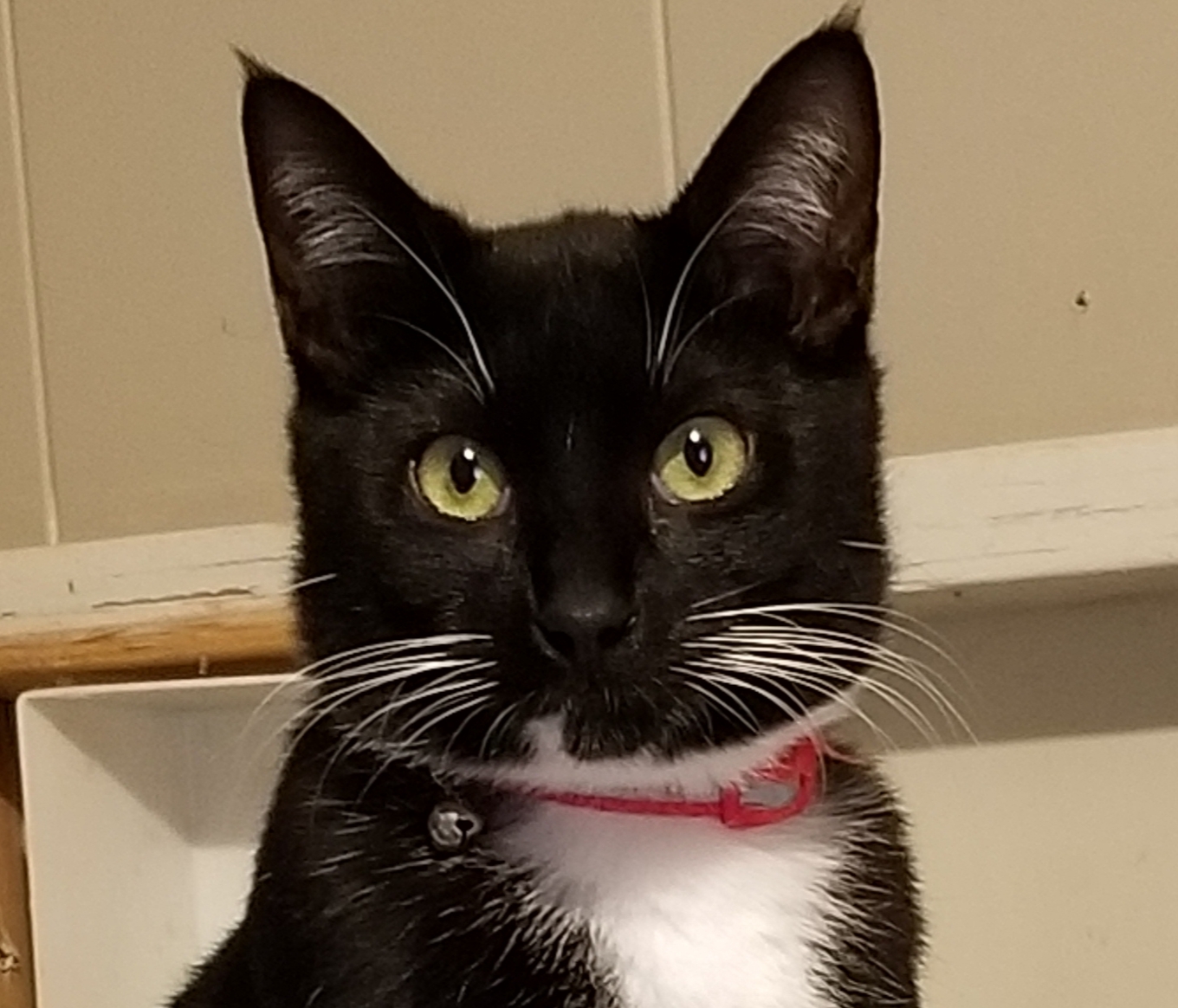 20190206_205941.jpg