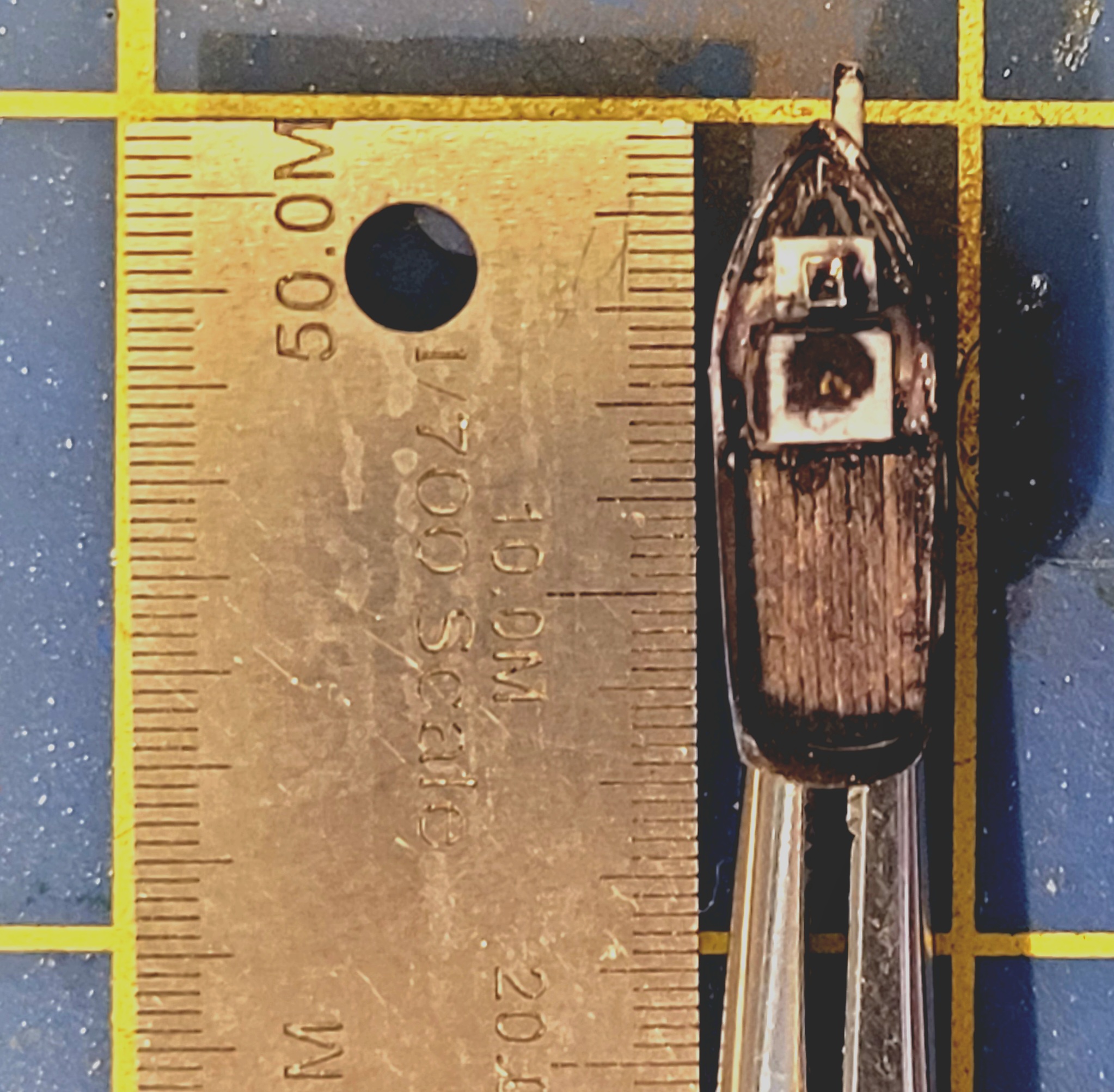 20220226_092321.jpg