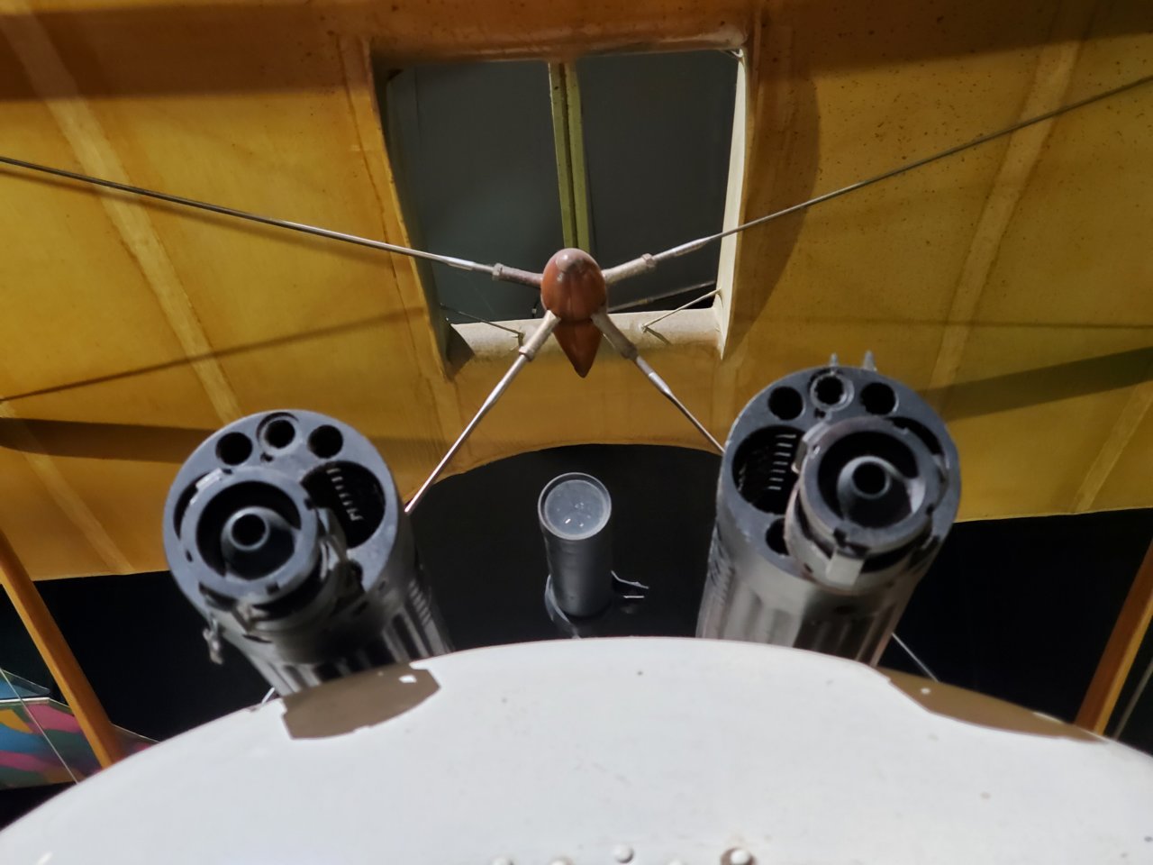 20241109_092909.jpg
