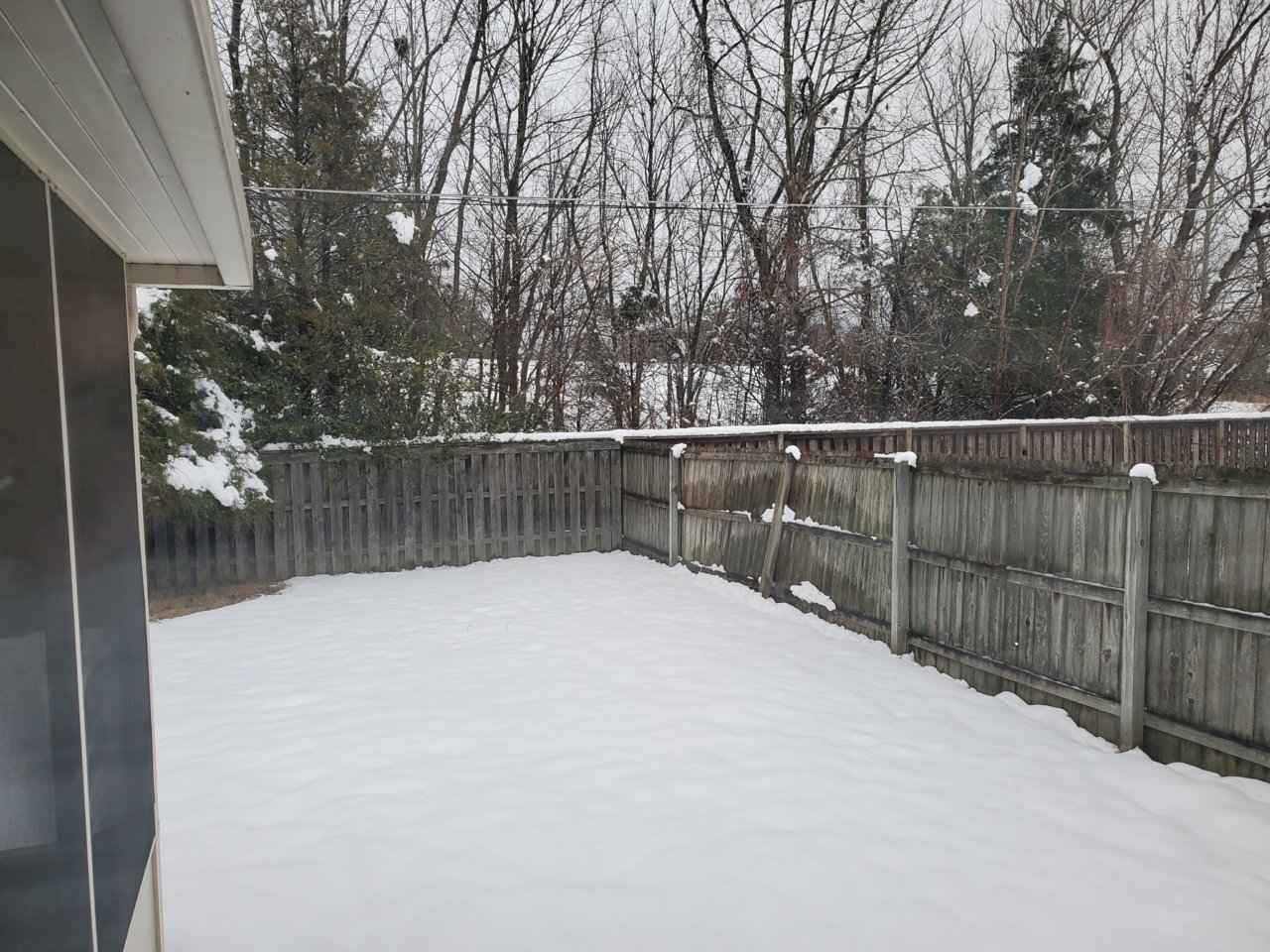 2025-01-10 snow.jpg 2025-01-10 snow.jpg