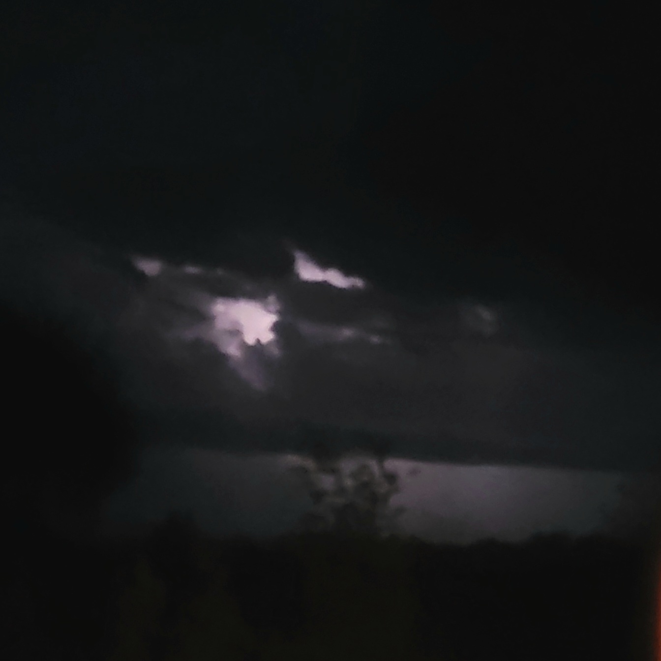 20261013_062049.jpg