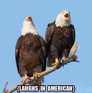 2F475ADE-4306-4FFA-B03B-038445351B92.jpeg