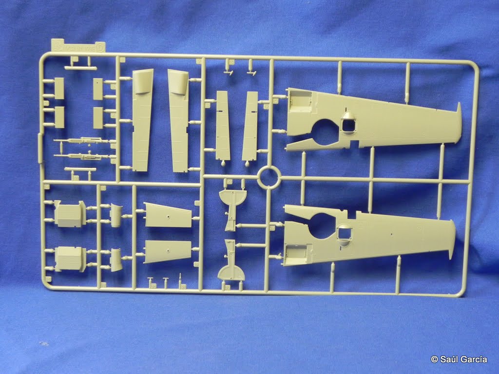 3204 Sprue D1.JPG