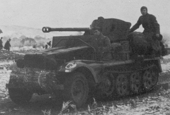 5cm-1t_010.jpg