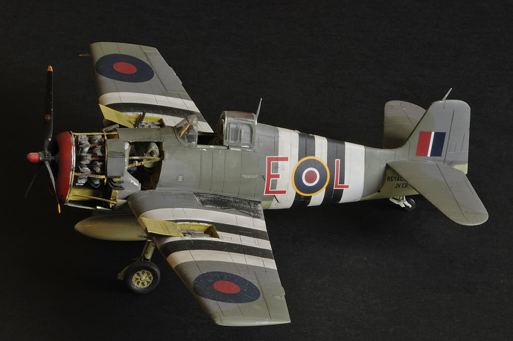 _DSC00096.jpg _DSC00096.jpg