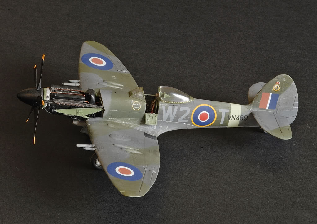 _DSC00099.jpg _DSC00099.jpg