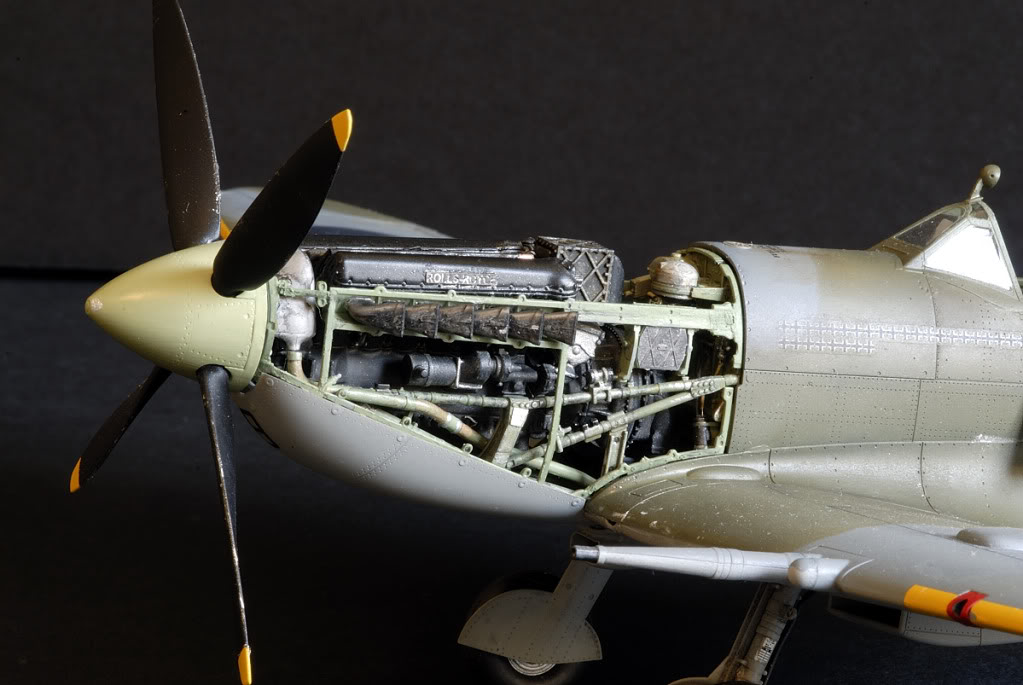 _DSC0016.jpg _DSC0016.jpg