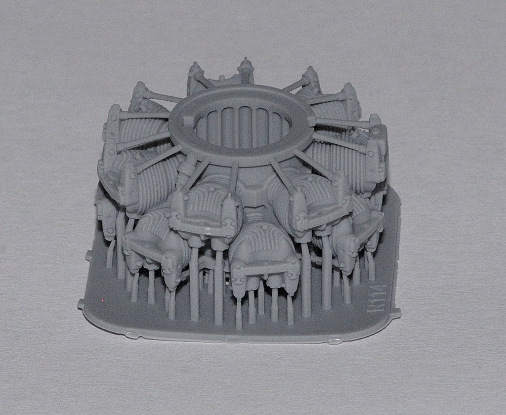 _DSC7776.JPG _DSC7776.JPG