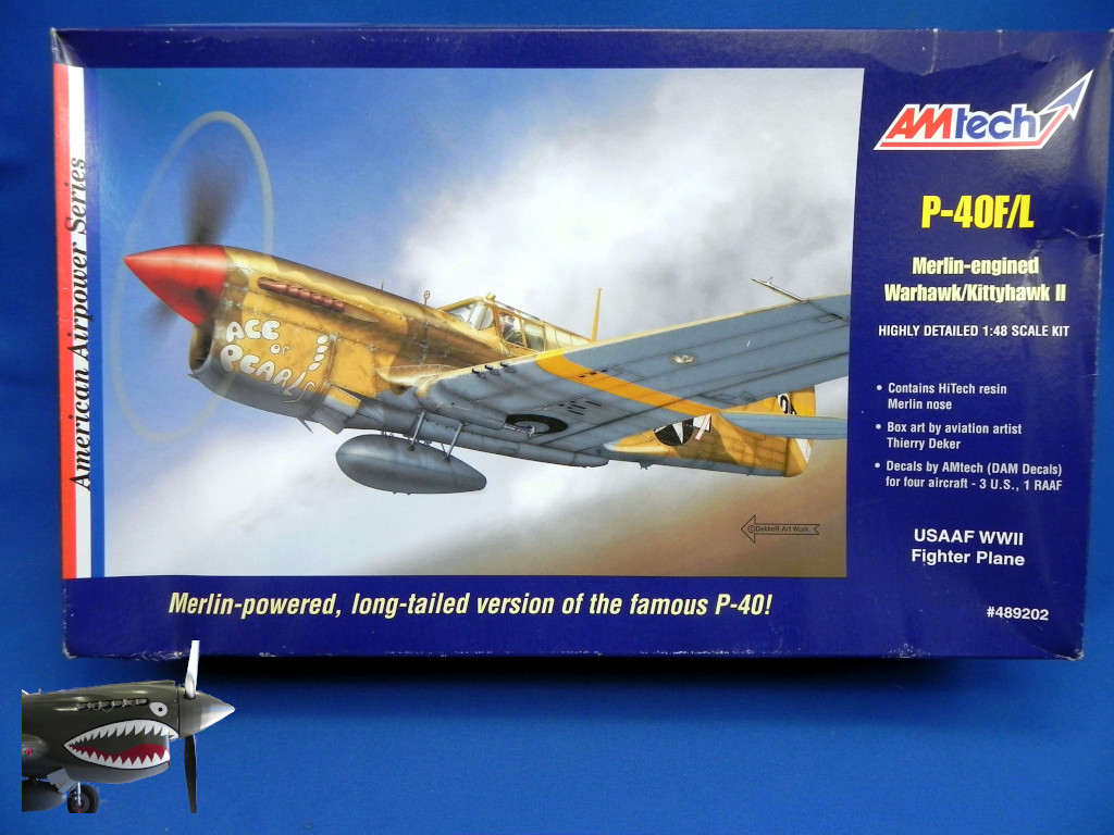 aBay AMtech P-40FL with Resin nose.JPG