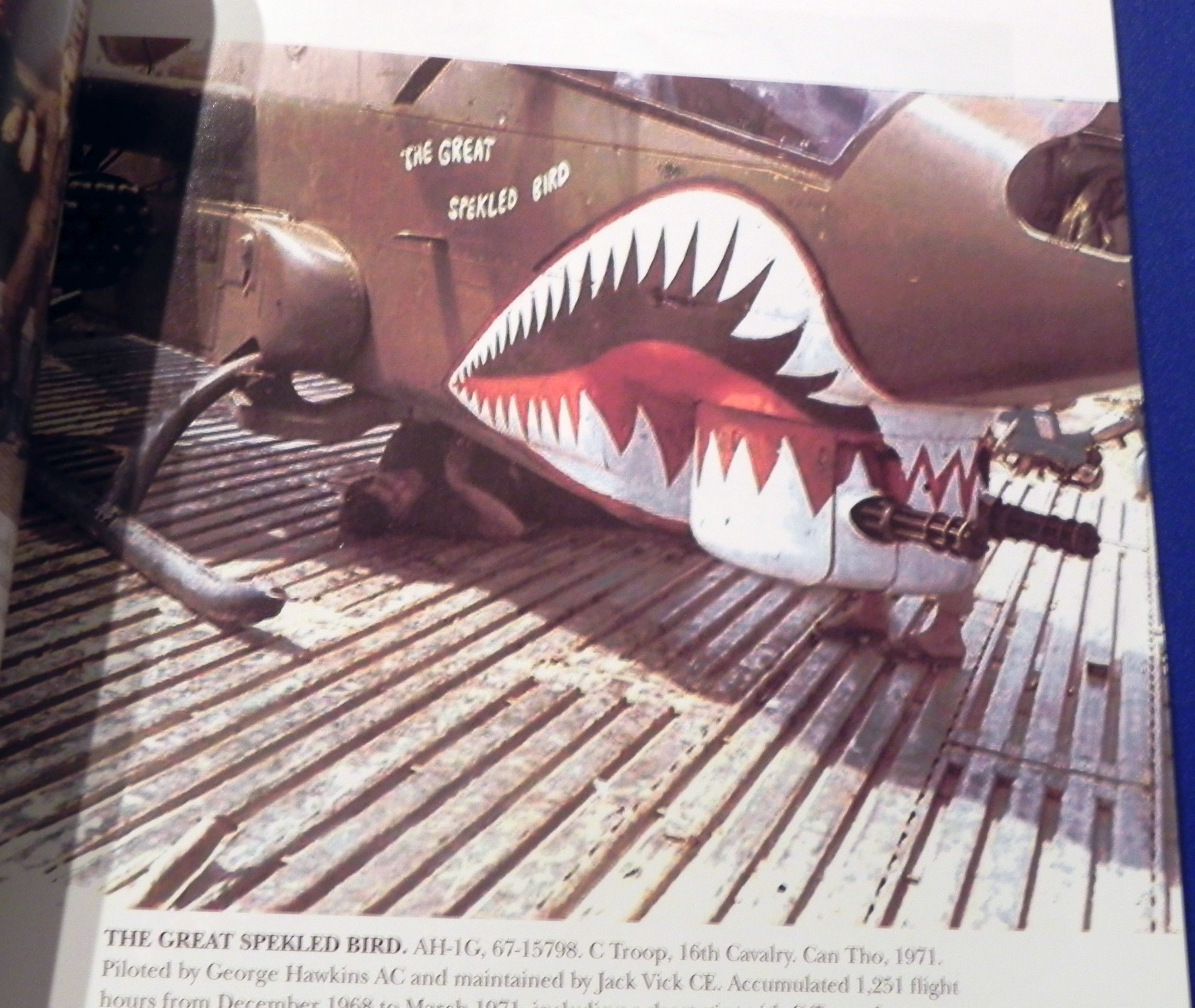 AH-1G TheGreatSpekledBird67-15798Ctroop16Cav.jpg