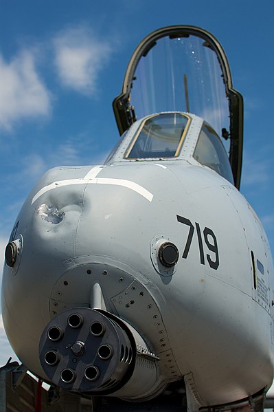 AirExpo_2010_-_A-10_Thunderbolt_II,_a.k.a_the_A-10__Warthog__(4805070389).jpg