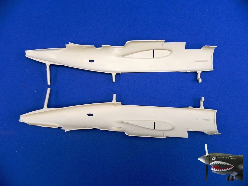 AMT A-20G Sprue Tree Br ear - 1K JPEG.jpg