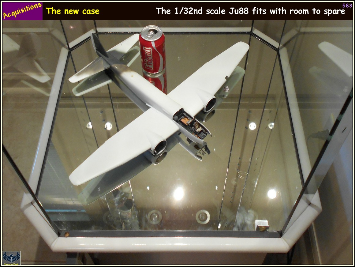 Aq-583.jpg