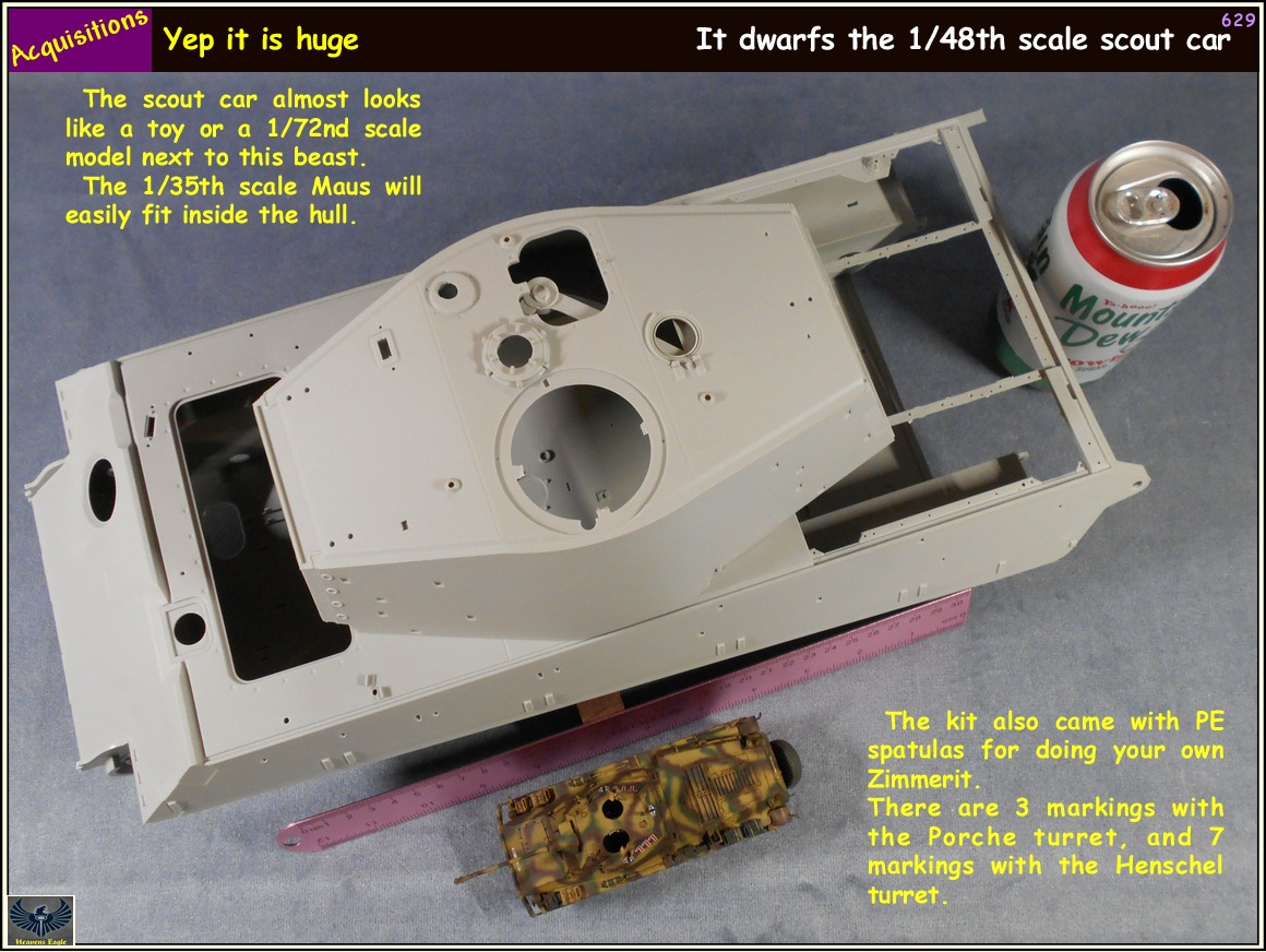 Aq-629.jpg