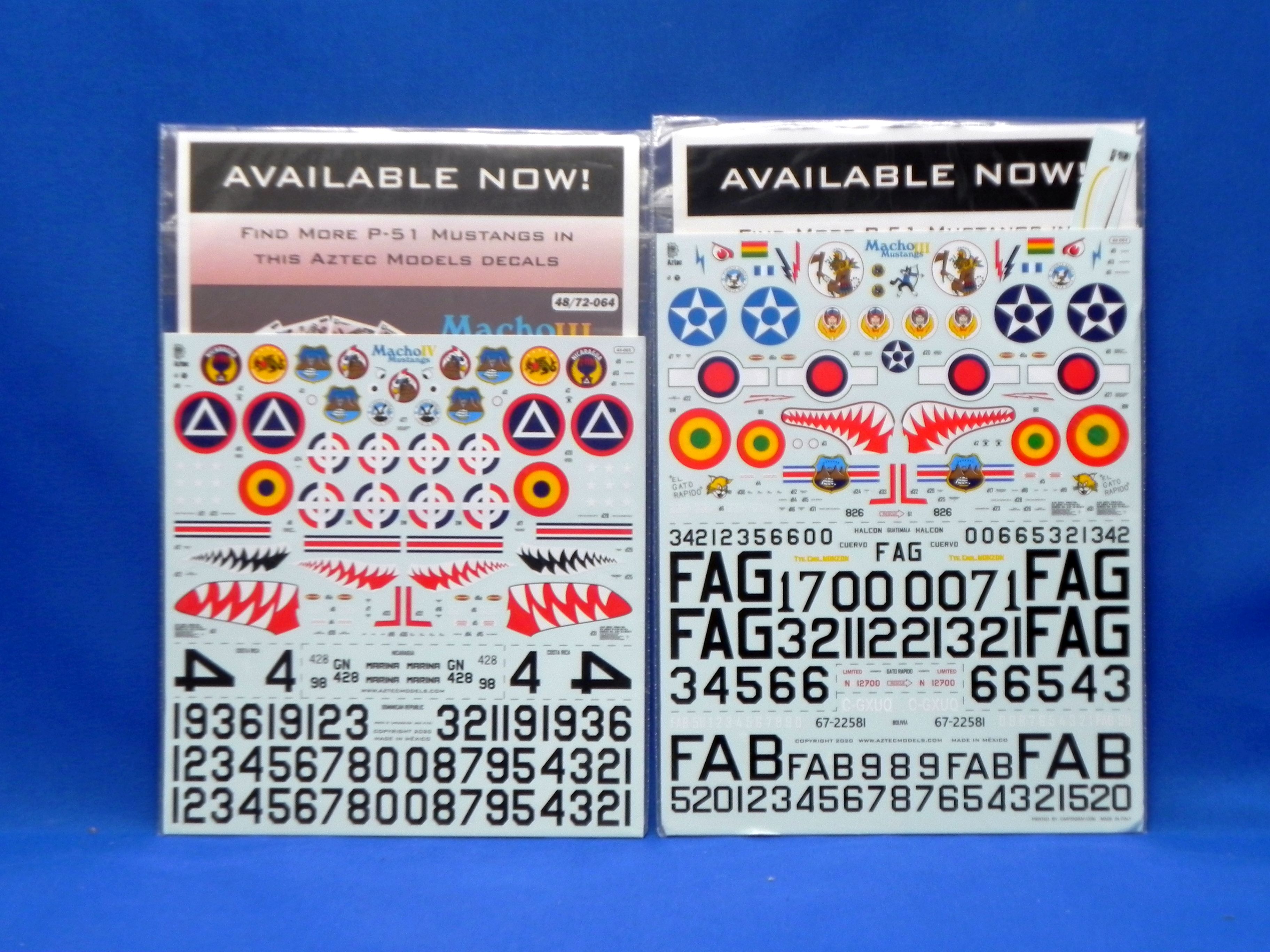 AztecMachoMustangs 002.JPG