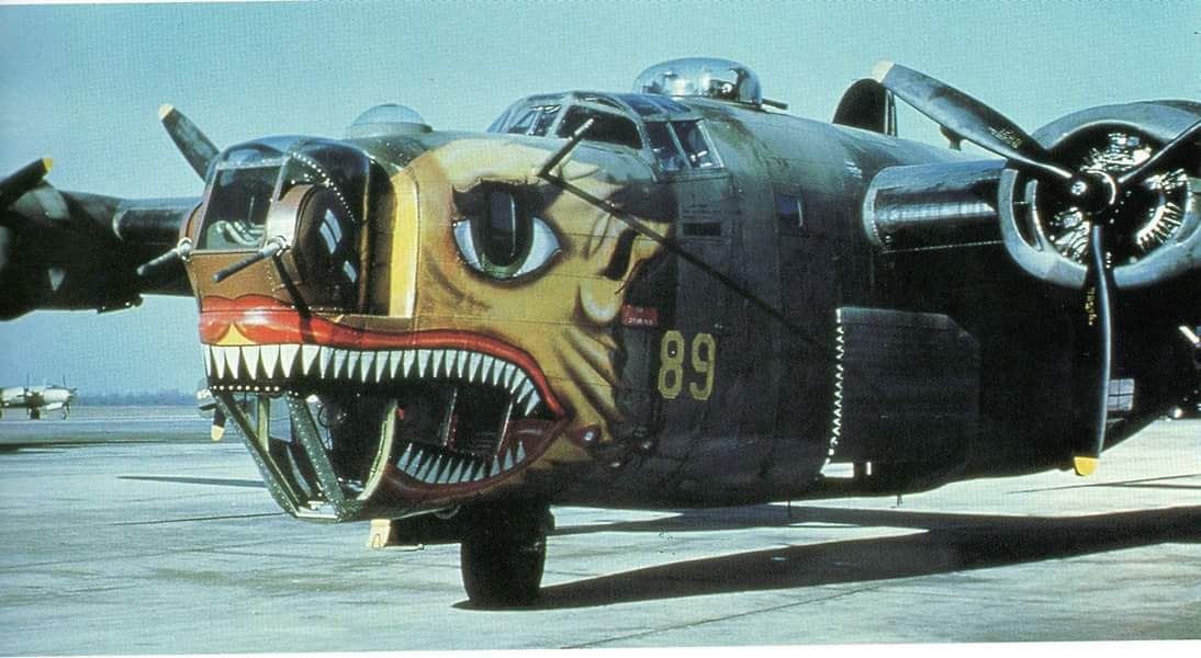 B-24 12828920_919360214828485_4507415500940882658_o.jpg