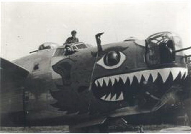 B-24 beastnmfcustomsize65045.jpg