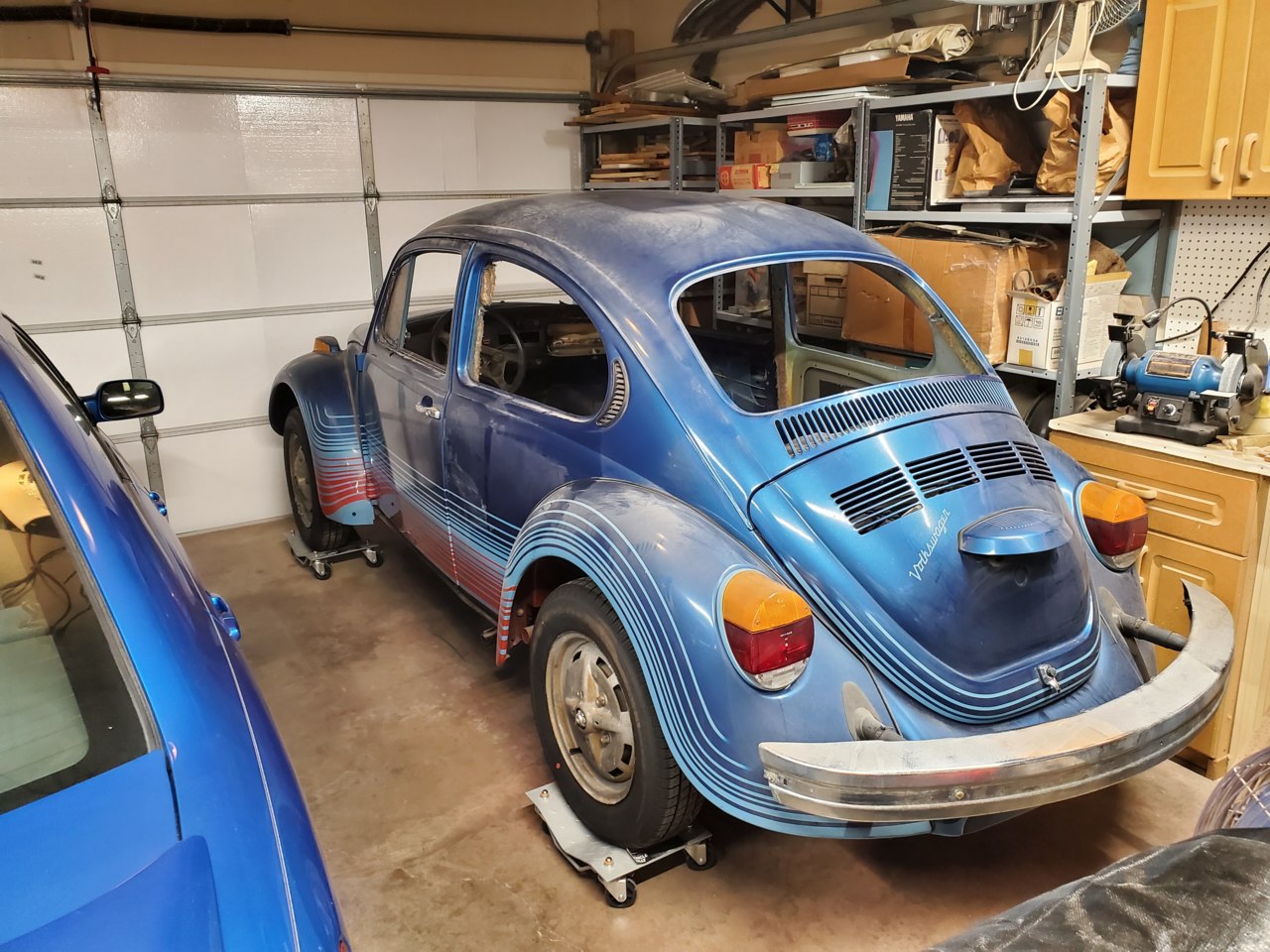 Beetle at home.jpg