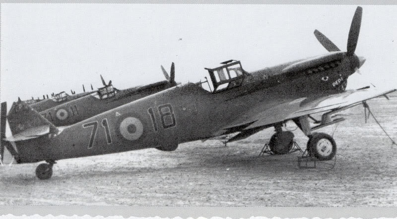 Bf 109J Buchon Sharkmouth 1.jpg