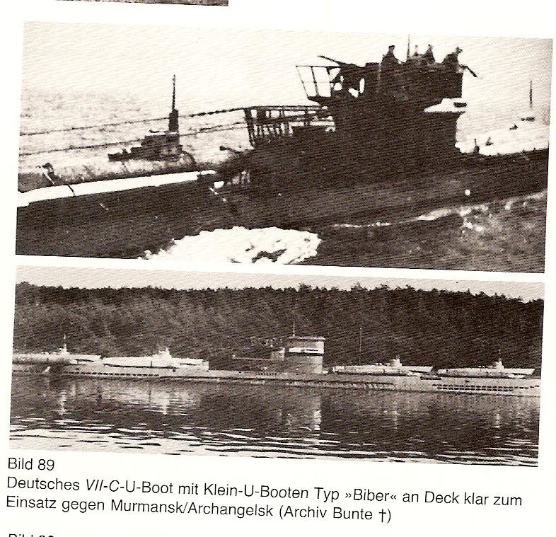 bibertype7motheru295 1945.jpg