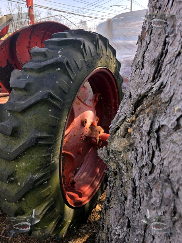 Case Tractor 2026 p.jpg