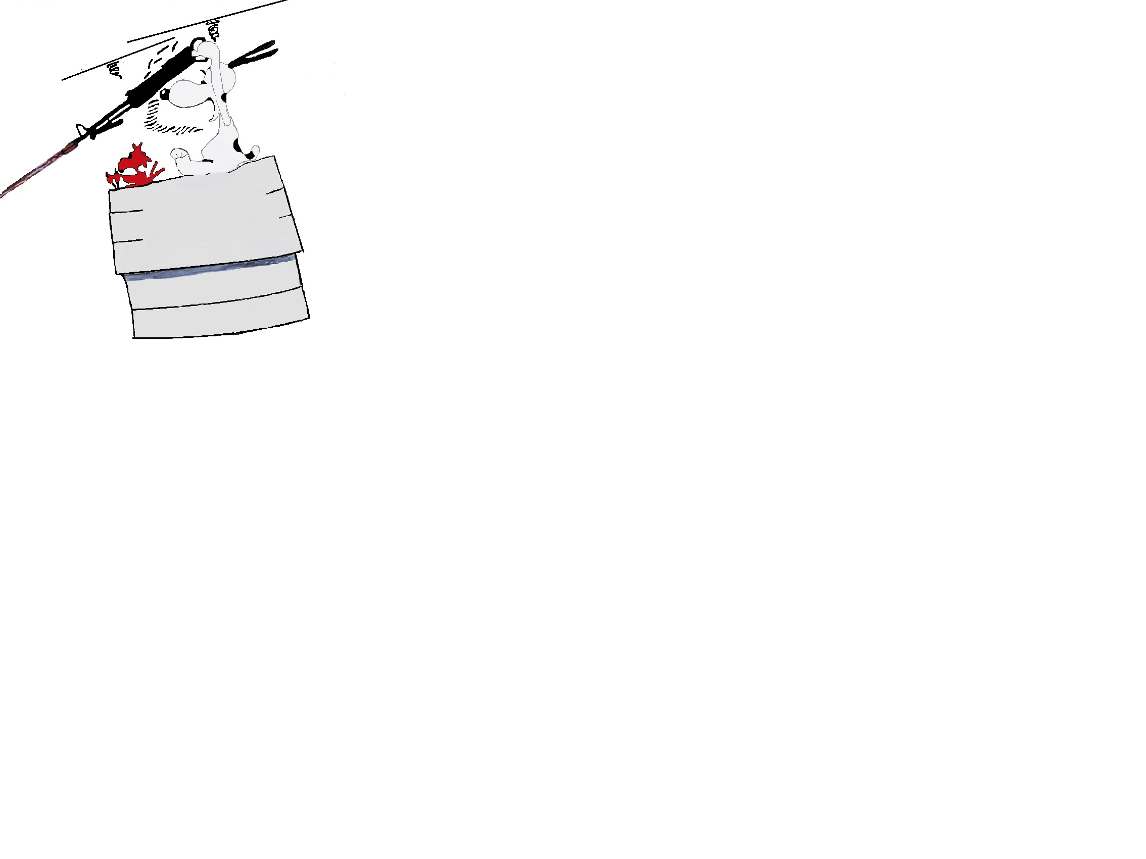 CH-47A Snoopy.jpg
