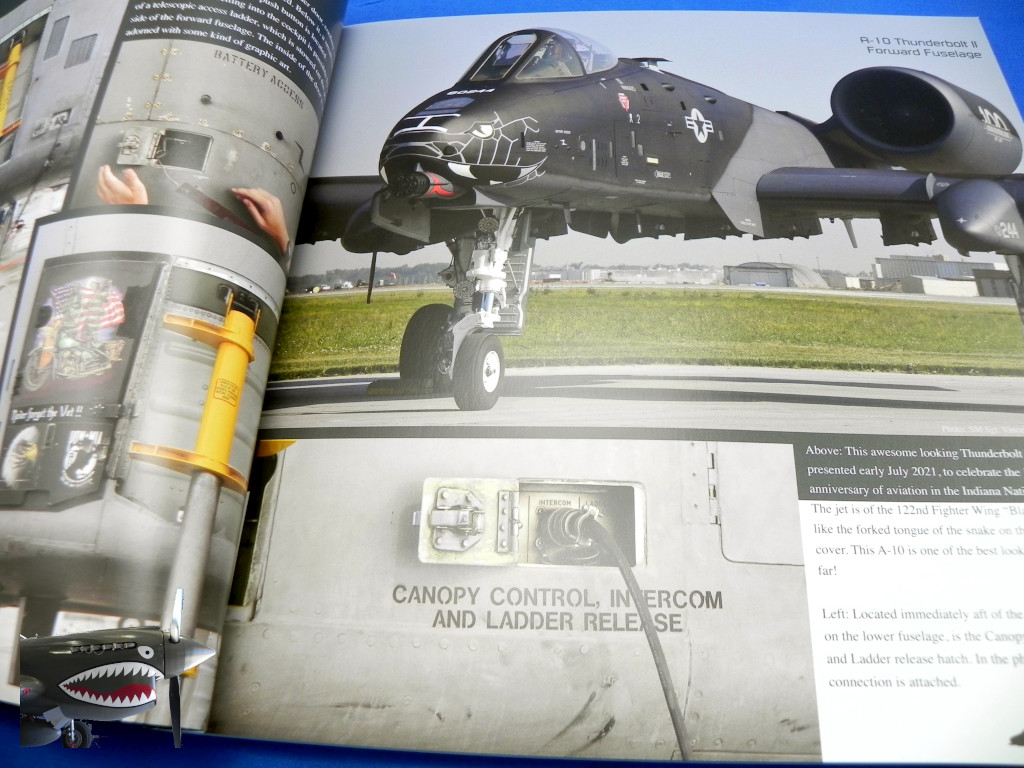 DH30FairchildA10ACThunderboltII02.jpg