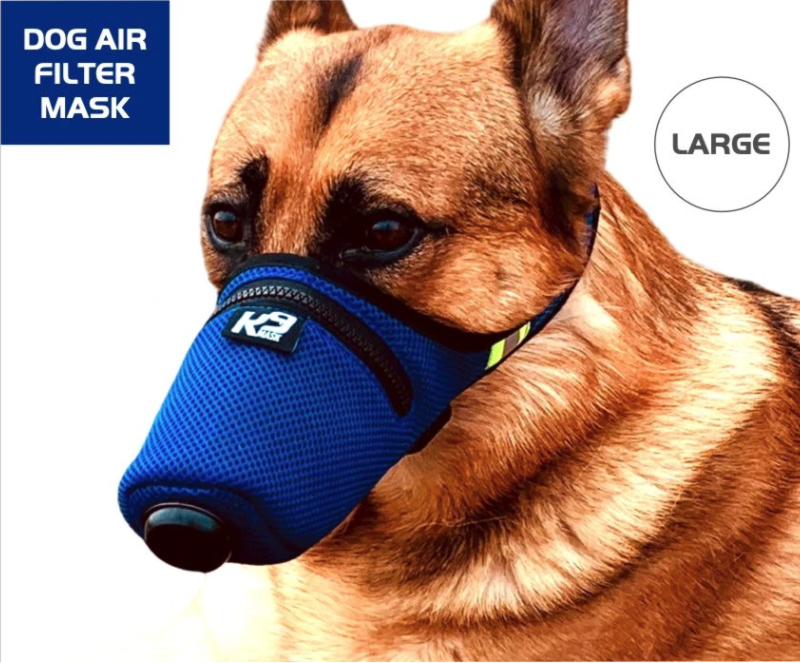 doggie mask.JPG