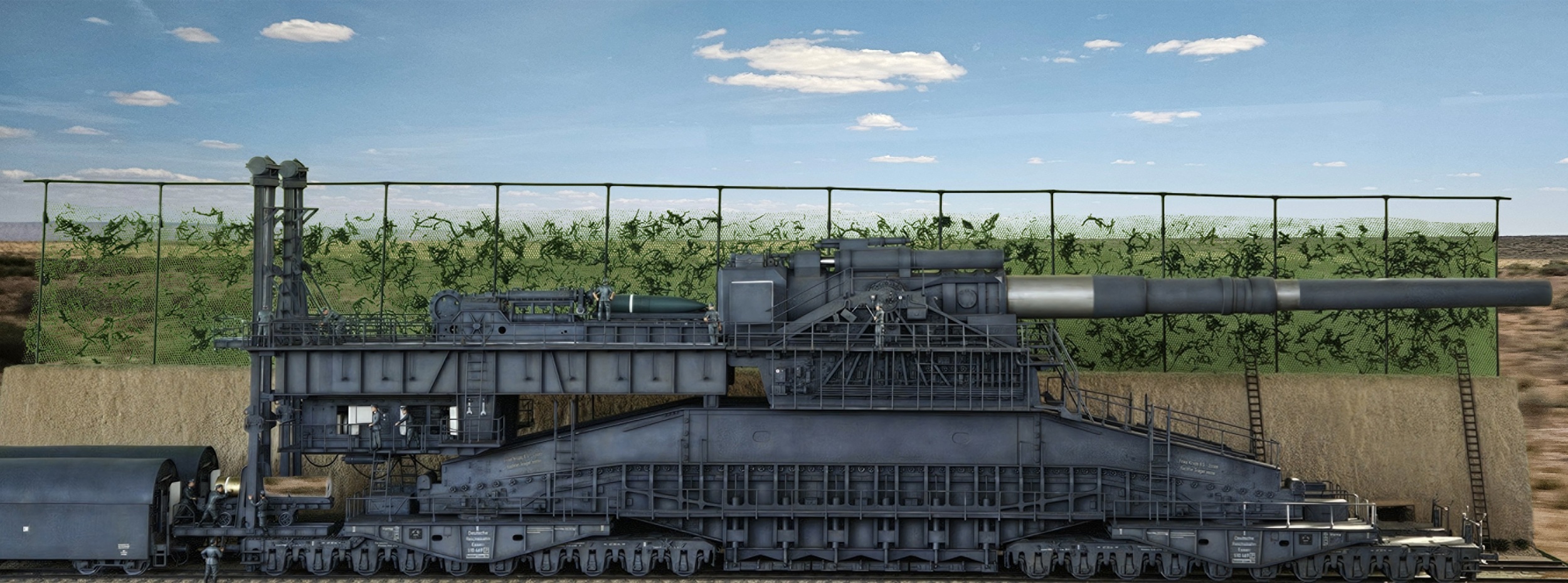 dora bg42.jpg
