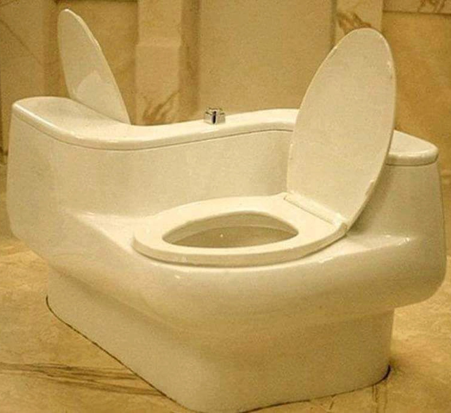 double-toilet.jpg