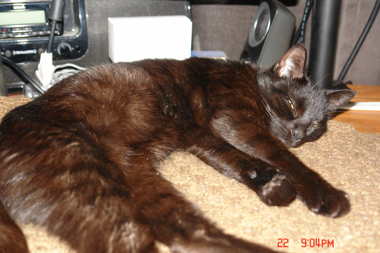DSC08421.JPG