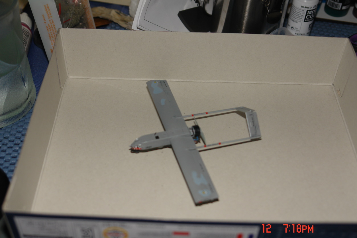 DSC08482.JPG