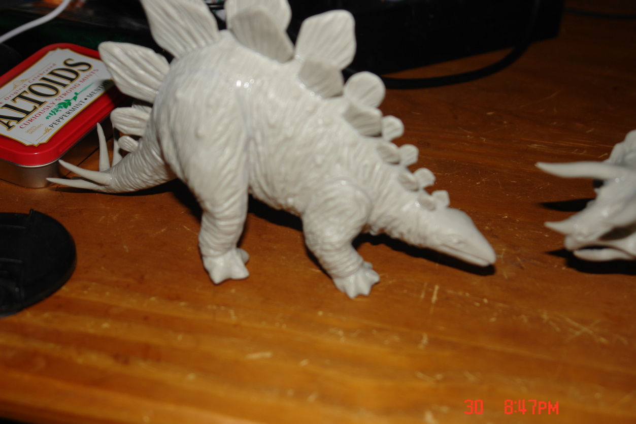 DSC09335.JPG