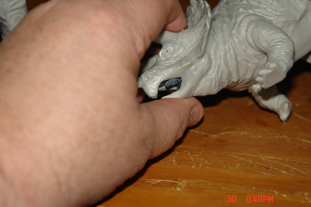DSC09336.JPG