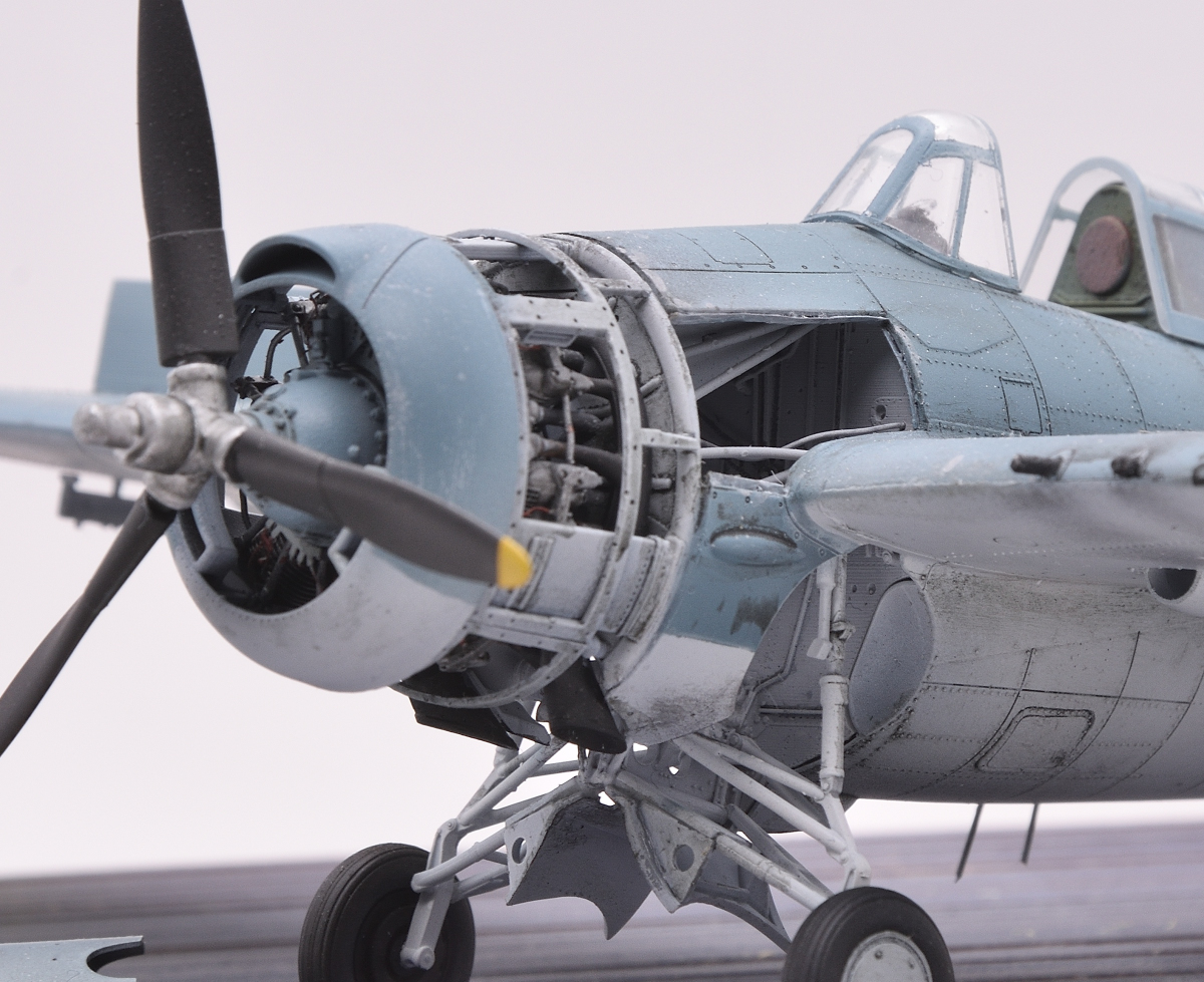 DSC_0372.JPG