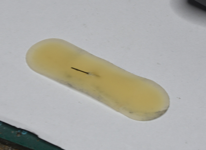 DSC_1138.JPG